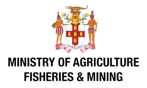 Ministry of Agriculture, Mining & Fisheries